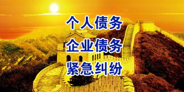 九合垸原种场追债公司