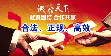 九合垸原种场讨账公司